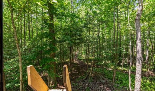 View from the raised hunting blind