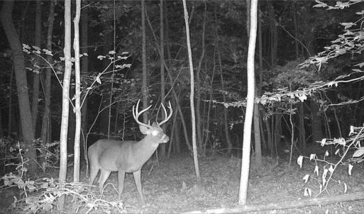 Photo #32 of 34AC Windsor Road, Dutton, Virginia 34.1 acres