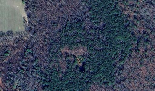 Photo #2 of 280 VESSELLS Lane, Aylett, Virginia 38.0 acres