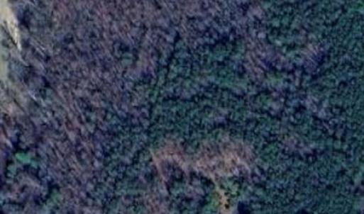 Photo #3 of 280 VESSELLS Lane, Aylett, Virginia 38.0 acres