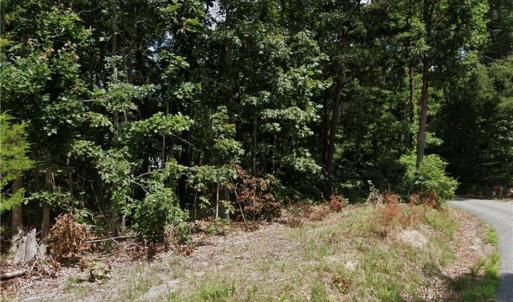 Photo #4 of 280 VESSELLS Lane, Aylett, Virginia 38.0 acres