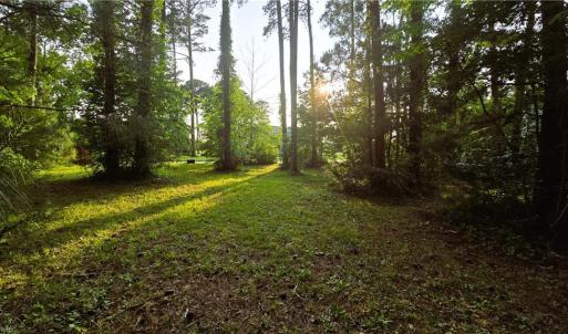 The Lot Facing the Street