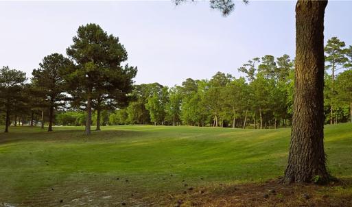 The view of the 6th hole from the back of the lot