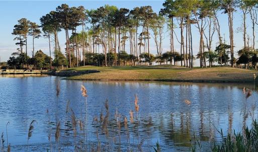 The Iconic 3rd Hole of the Arnold Palmer Course which is across the street from the lot
