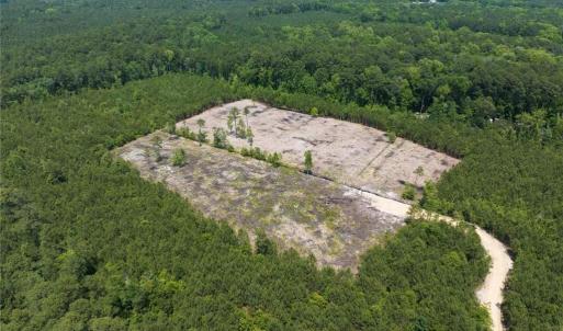 Photo #14 of 20ac Ridge Road, Cobbs Creek, Virginia 20.0 acres