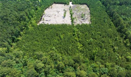 Photo #17 of 20ac Ridge Road, Cobbs Creek, Virginia 20.0 acres