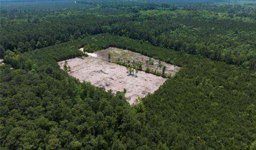 Photo #20 of 20ac Ridge Road, Cobbs Creek, Virginia 20.0 acres