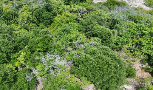Photo #19 of 1621 Sandpiper Road, Corolla, North Carolina 0.3 acres