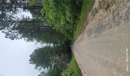 Photo #1 of 25+AC BUCHANAN Lane, Gloucester, Virginia 30.0 acres
