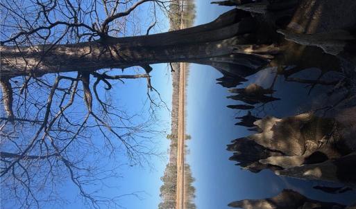 Photo #2 of 339 Neck O Land Road, Williamsburg, Virginia 2.9 acres