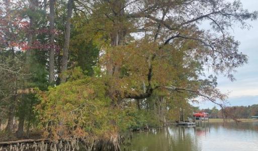 Photo #6 of 339 Neck O Land Road, Williamsburg, Virginia 2.9 acres