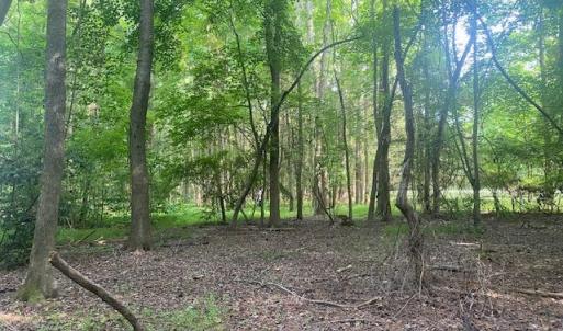 Photo #7 of 339 Neck O Land Road, Williamsburg, Virginia 2.9 acres