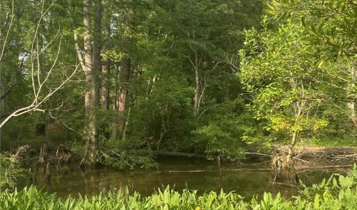 Photo #4 of 339 Neck O Land Road, Williamsburg, Virginia 2.9 acres