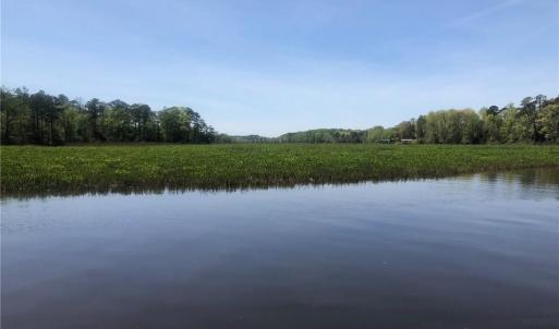 Photo #6 of 339 Neck O Land Road, Williamsburg, Virginia 2.9 acres