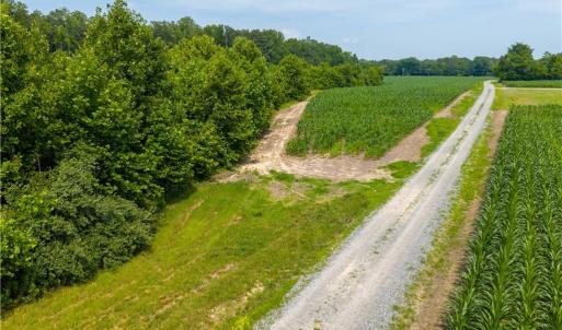 Photo #11 of 25+AC Woods Cross Road, Gloucester, Virginia 25.5 acres