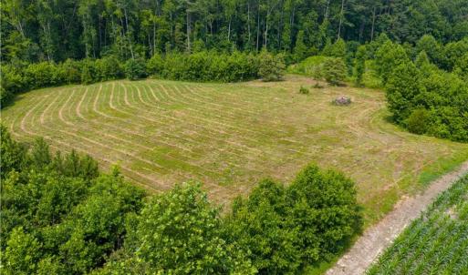 Photo #12 of 25+AC Woods Cross Road, Gloucester, Virginia 25.5 acres