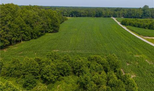 Photo #13 of 25+AC Woods Cross Road, Gloucester, Virginia 25.5 acres