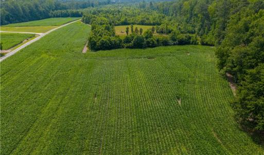 Photo #15 of 25+AC Woods Cross Road, Gloucester, Virginia 25.5 acres