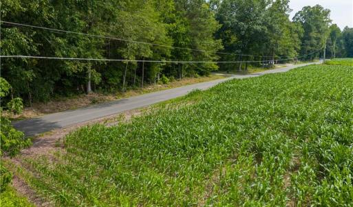 Photo #18 of 25+AC Woods Cross Road, Gloucester, Virginia 25.5 acres
