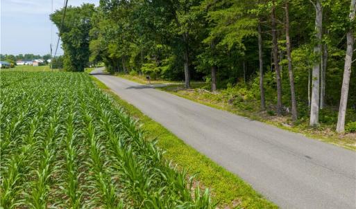 Photo #19 of 25+AC Woods Cross Road, Gloucester, Virginia 25.5 acres