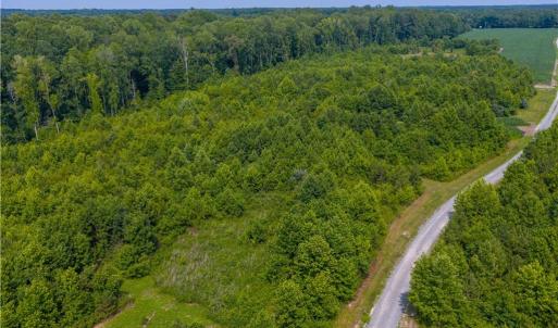 Photo #8 of 25+AC Woods Cross Road, Gloucester, Virginia 25.5 acres
