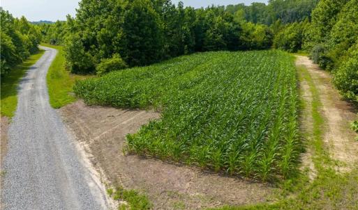 Photo #10 of 25+AC Woods Cross Road, Gloucester, Virginia 25.5 acres