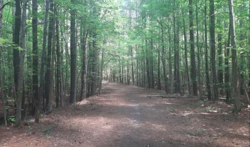 trail