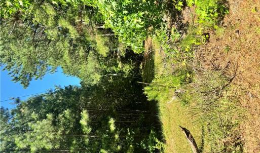 Photo #3 of Parcel 109C-4-5,6,7,8 &9, Painter, Virginia 2.9 acres