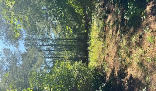 Photo #4 of Parcel 109C-4-5,6,7,8 &9, Painter, Virginia 2.9 acres