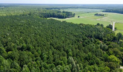 Photo #12 of 3224 Ives Road, Virginia Beach, Virginia 43.9 acres