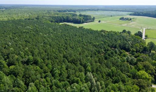 Photo #12 of 3224 Ives Road, Virginia Beach, Virginia 43.9 acres