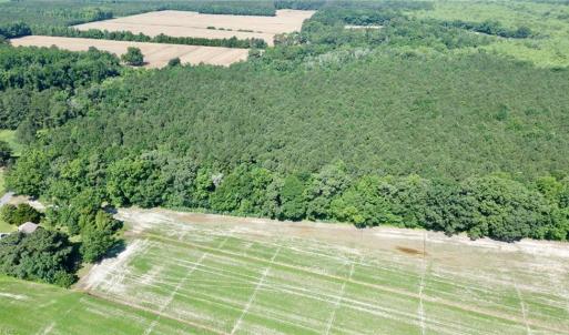 Photo #15 of 3224 Ives Road, Virginia Beach, Virginia 43.9 acres
