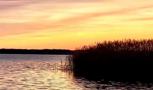 Photo #24 of 3665 Sandpiper Road, Virginia Beach, Virginia