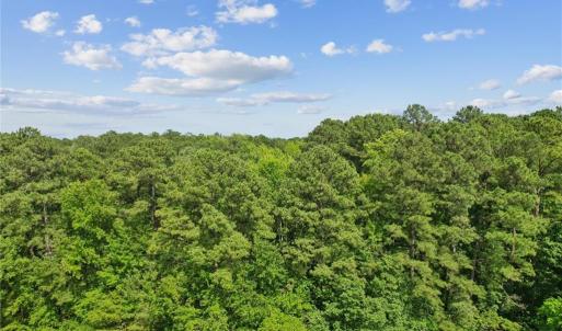 Photo #13 of 13630 Woodside Lane, Newport News, Virginia 5.1 acres