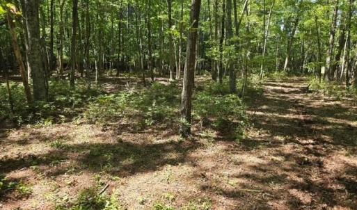 Photo #10 of 13630 Woodside Lane, Newport News, Virginia 5.1 acres