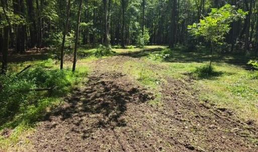 Photo #4 of 13630 Woodside Lane, Newport News, Virginia 5.1 acres
