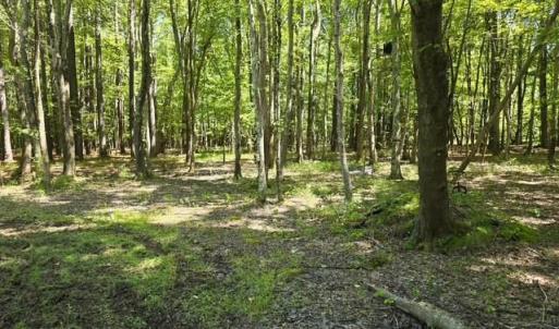 Photo #8 of 13630 Woodside Lane, Newport News, Virginia 5.1 acres