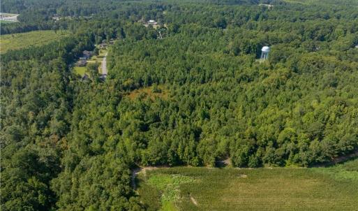 Photo #7 of 26+ AC Nottoway Drive, Courtland, Virginia 26.7 acres