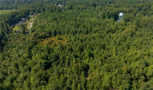 Photo #8 of 26+ AC Nottoway Drive, Courtland, Virginia 26.7 acres