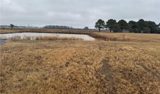 Photo #9 of 2084 Camden Court, Virginia Beach, Virginia 3.0 acres