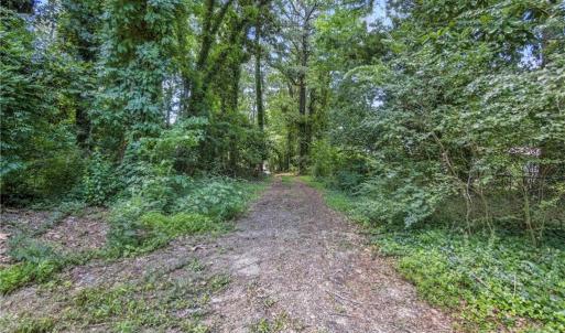 Looking down drive from the clearing toward the street