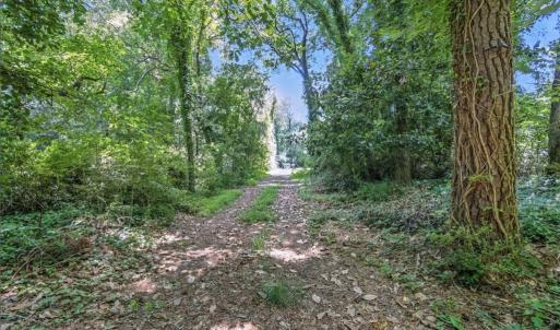 Looking from the street up the drive to the clearing