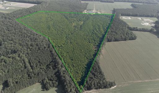 Photo #3 of Lot 14 Taft Road, Chesapeake, Virginia 100.0 acres