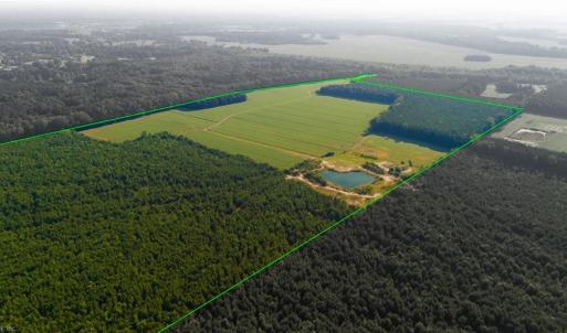 Photo #4 of 168 AC St. Brides Road, Chesapeake, Virginia 168.0 acres