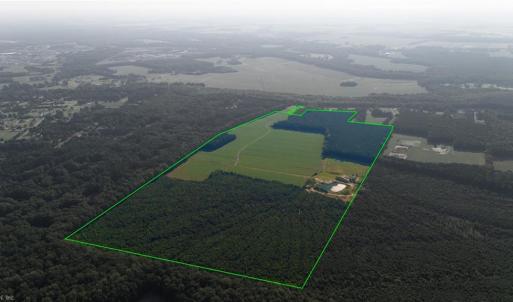 Photo #8 of 168 AC St. Brides Road, Chesapeake, Virginia 168.0 acres