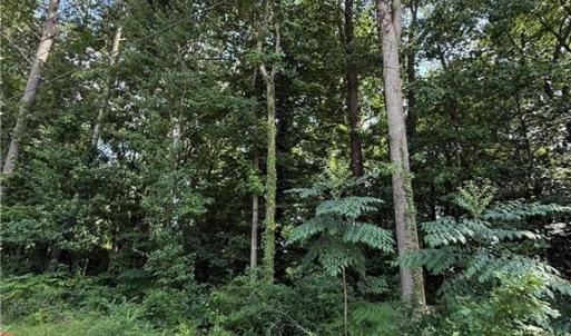 Photo #6 of 1117 Jackson Street, Virginia Beach, Virginia 1.1 acres