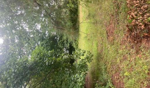 Photo #3 of 2702 Cedar Road, Chesapeake, Virginia 0.7 acres