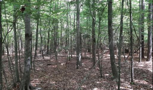 Photo #3 of 6468 Blackwater Road, Virginia Beach, Virginia 5.2 acres
