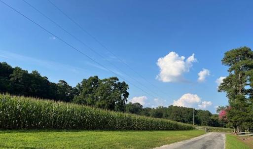 Cropland and mature hardwoods.