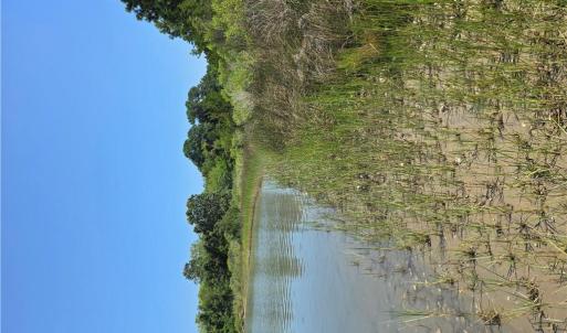 Photo #3 of 2 acr Horn Harbor Avenue, New Point, Virginia 2.0 acres